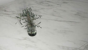 Buy Caesarstone 505 Archetta from ExpressKBF - 6532254