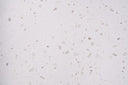Buy Reliance Surfaces NOUGART ORIGINAL (RQ) from ExpressKBF - 75347056