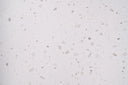 Buy Reliance Surfaces NOUGART ORIGINAL (RQ) from ExpressKBF - 44802748