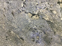Buy Reliance Surfaces BLUE BAHIA / AZUL BAHIA - GRANITE from ExpressKBF - 39343269