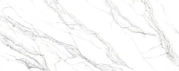 Unique Calacatta Macchia Vecchia