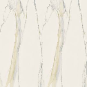 Buy Reliance Surfaces I CLASSICI CALACATTA GOLD from ExpressKBF - 45620602