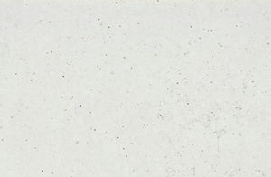 Buy Silestone Lime Delight from ExpressKBF - 63229419