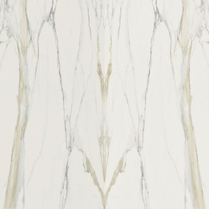 Buy Reliance Surfaces MARBLE CALACATTA GOLD A - PORCELAIN from ExpressKBF - 9927909