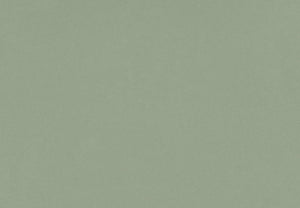 Buy Silestone Posidonia Green from ExpressKBF - 3202410