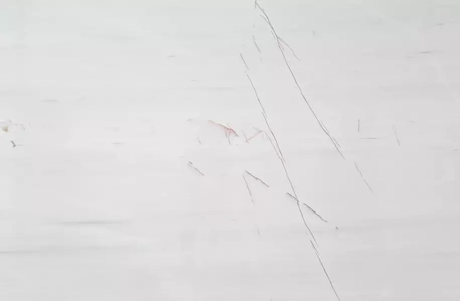 Buy Reliance Surfaces ROSSO VENATO – MARBLE from ExpressKBF - 3888840