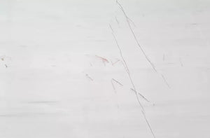 Buy Reliance Surfaces ROSSO VENATO – MARBLE from ExpressKBF - 3888840
