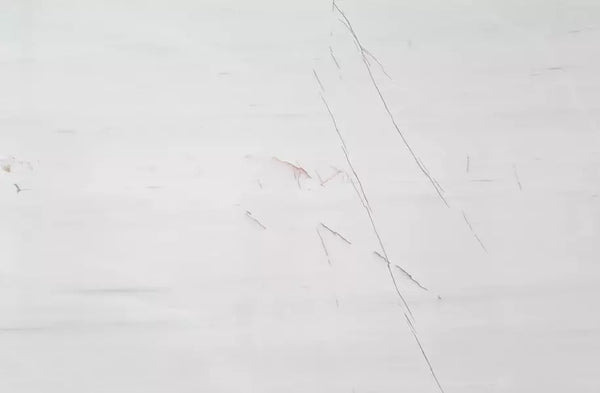 Buy Reliance Surfaces ROSSO VENATO – MARBLE from ExpressKBF - 3888840