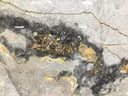 Buy Reliance Surfaces SILVER MARBLE – MARBLE from ExpressKBF - 57297593
