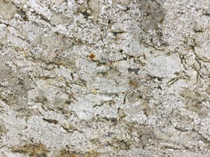 Buy Reliance Surfaces SIENA – GRANITE from ExpressKBF - 9632911