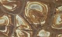 Buy Reliance Surfaces STONEWOOD -QUARTZITE from ExpressKBF - 24164911