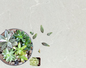 Buy Vicostone Grey Savoie BQ8446 from ExpressKBF - 87034854