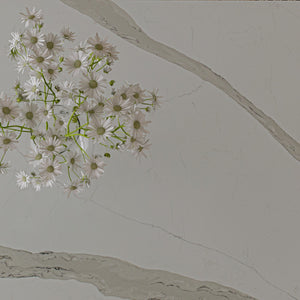 Buy Vicostone Arabescato from ExpressKBF - 36620678