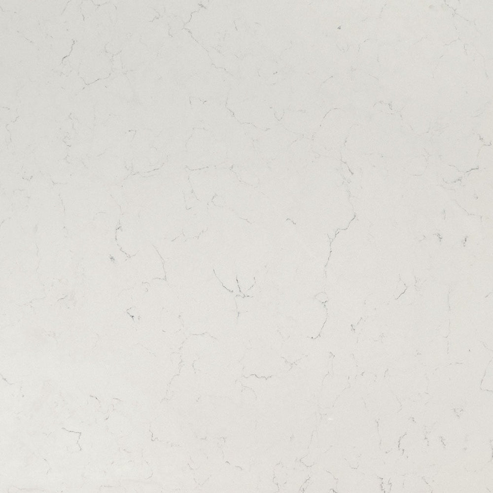 Buy MSI Surfaces Carrara Delphi from ExpressKBF - 71273898