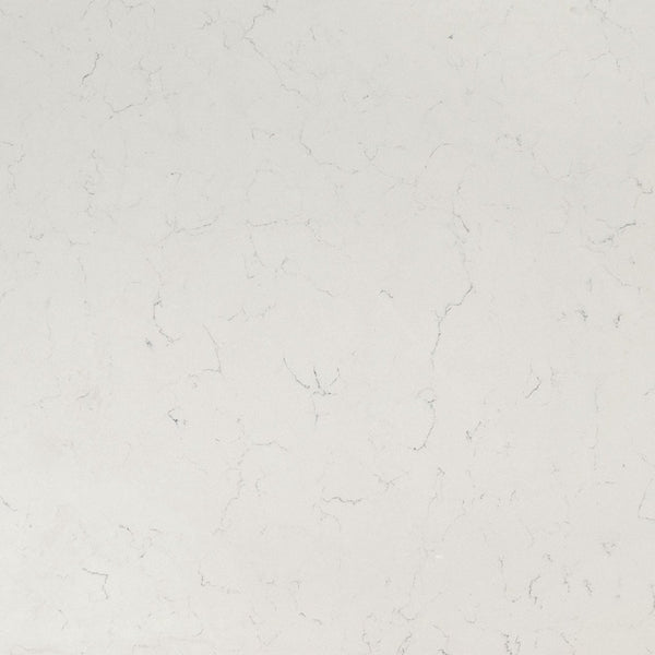 Buy MSI Surfaces Carrara Delphi from ExpressKBF - 71273898
