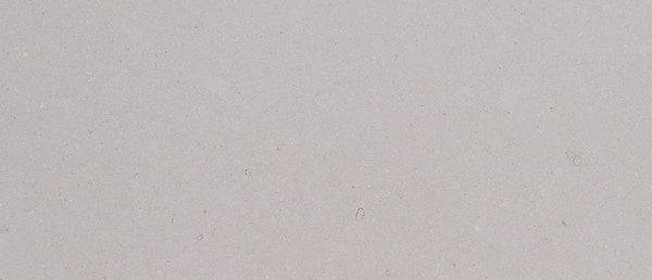 Fossil Gray - Matte Finish