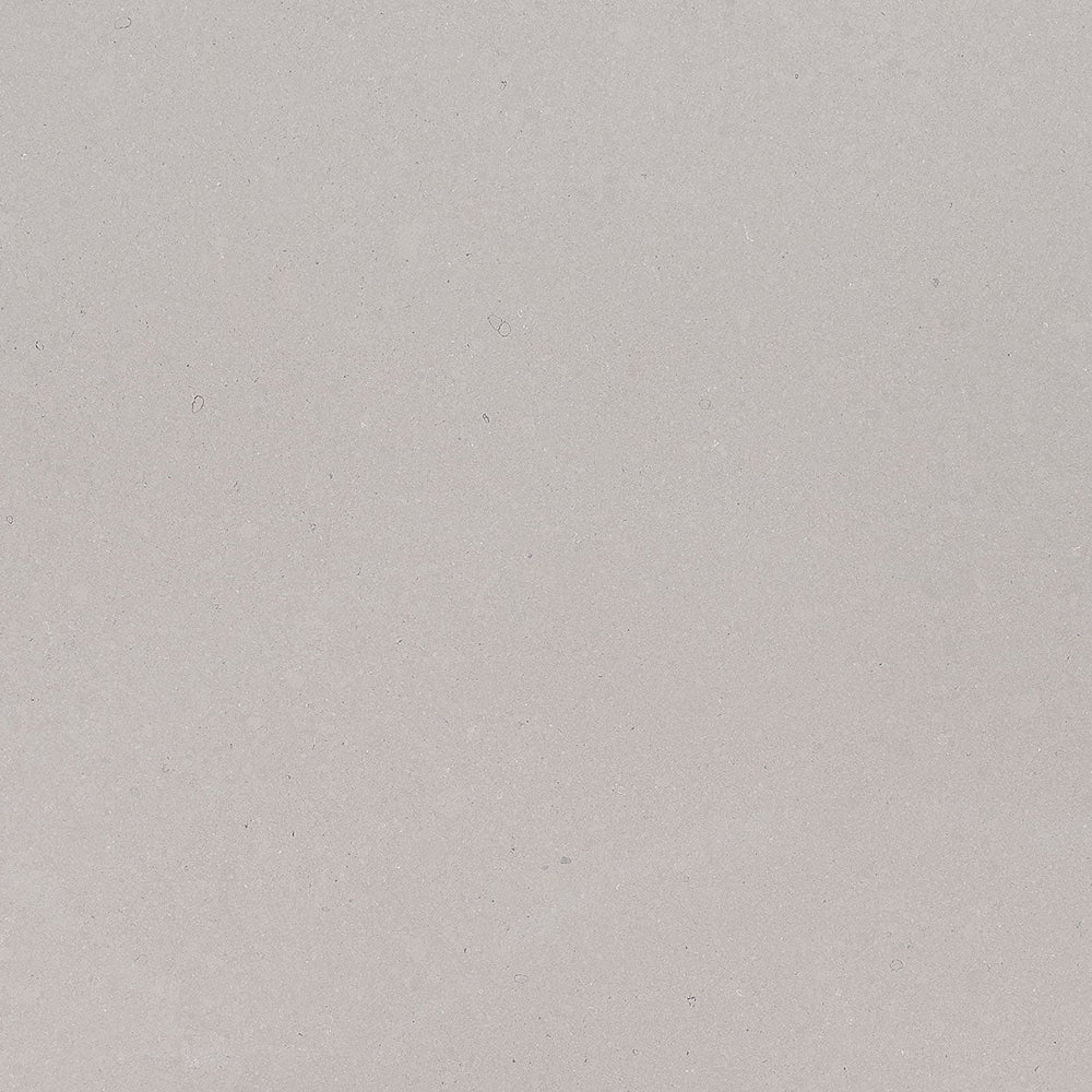 Fossil Gray - Matte Finish