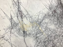 Buy Reliance Surfaces LILAC MARBLE – MARBLE from ExpressKBF - 40535768