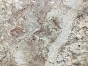 Buy Reliance Surfaces SIENNA BORDEAUX – GRANITE from ExpressKBF - 84737833